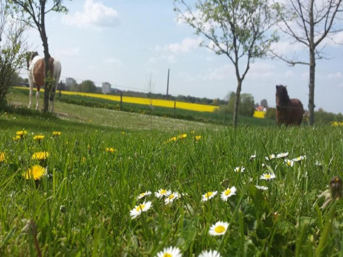 Ferienhof Joost Apartment คัพเพล์น ภายนอก รูปภาพ